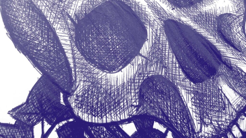 Zoom sur illustration de crâne