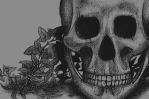 Vanité, crâne et lierre