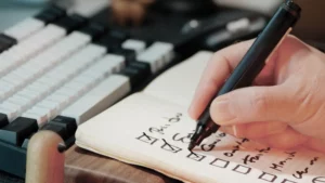 Points de vérification d'un site